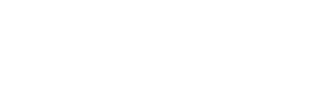 logo combined volley bergamo 1991